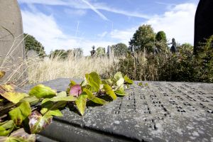 undercliffe september 26 2011 edmondson sm.jpg
